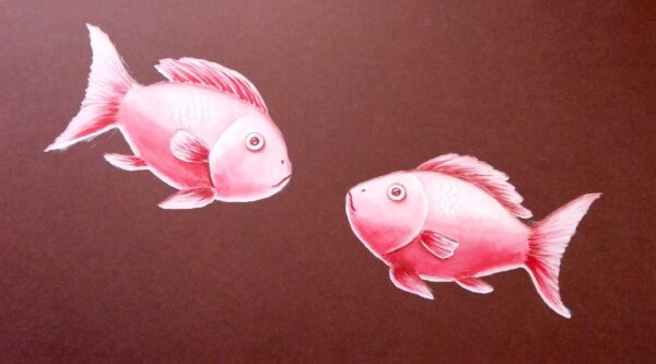 Różowe rybki na obrazie akrylowym