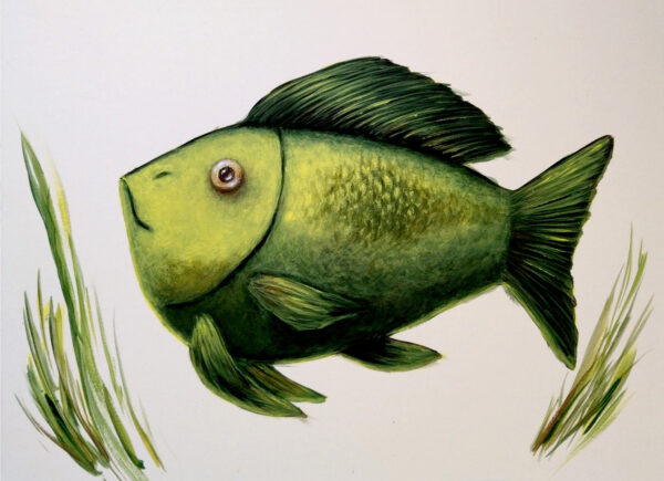 Ryba w kolorze zielonym obraz akrylowy