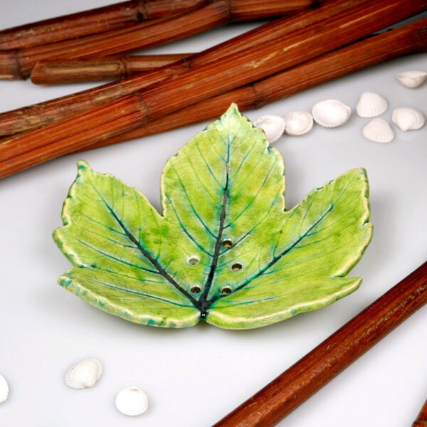 Zielony liść mydelniczka z gliny
