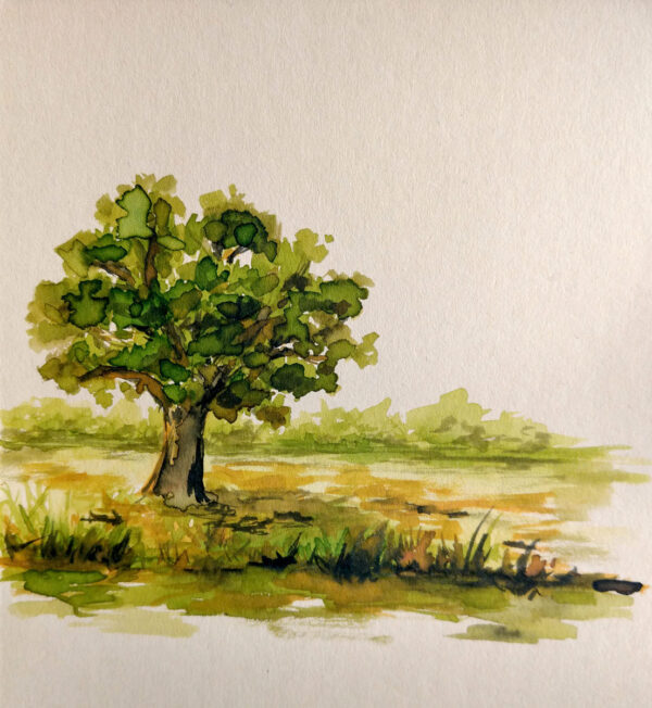 Akwarela obraz ręcznie malowany krajobraz z drzewem