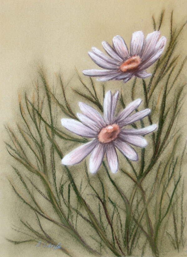 Sucha pastela oryginalny obrazek z kwiatami polnymi
